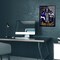 Phenom Gallery Baltimore Ravens Ray Lewis 18" x 24" Serigraph